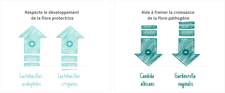 LACTACYD-Pharma-à-l'Action-Antibactérienne